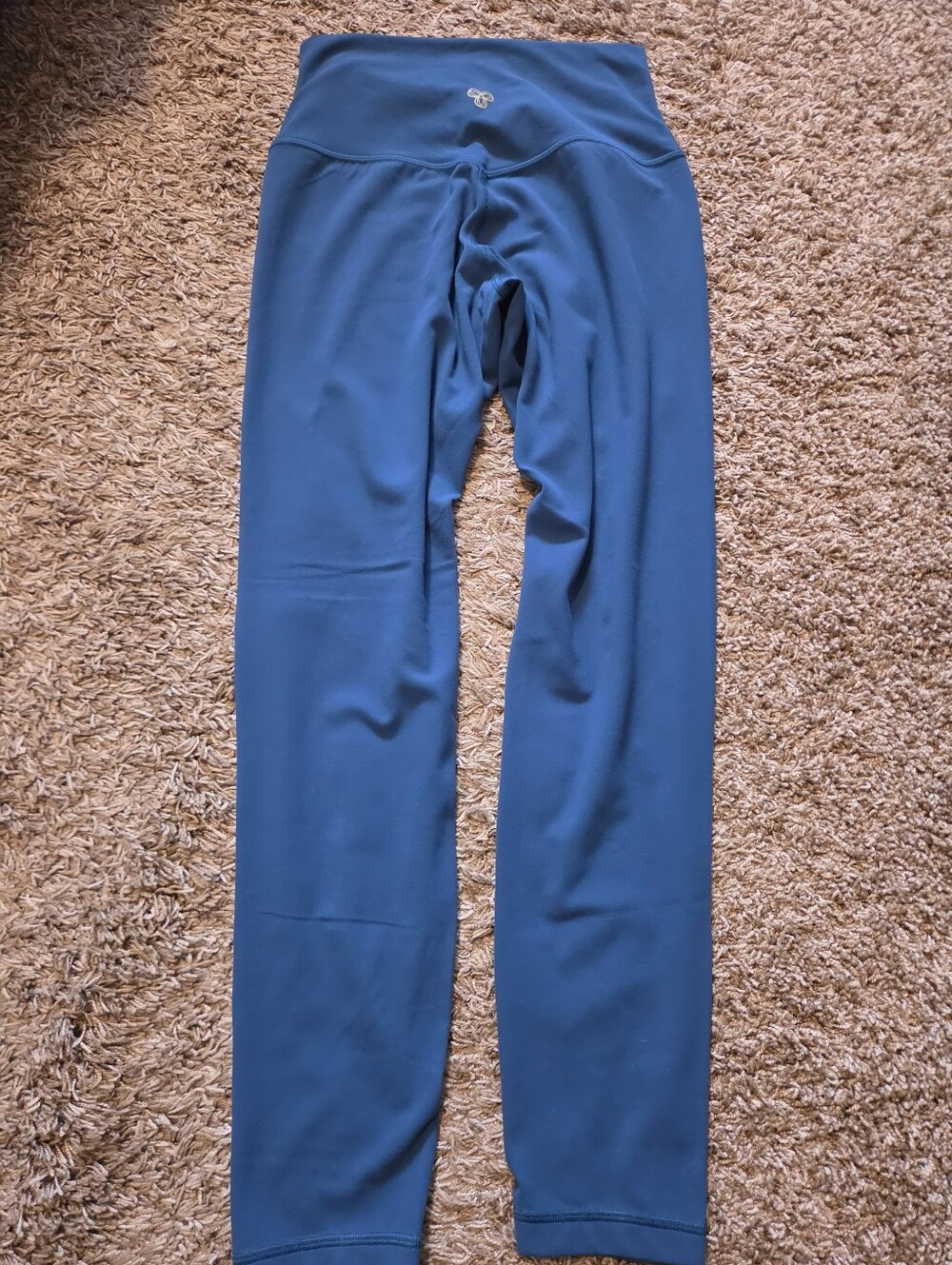 Aritzia Golden Leggings - Teal Blue - Size 8